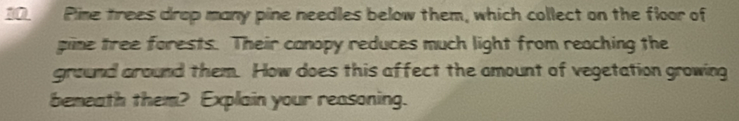Pime trees drop many pine needles below them, which collect on the floor of 
pine tree forests. Their canopy reduces much light from reaching the 
ground around them. How does this affect the amount of vegetation growing 
bemeath them? Explain your reasoning.