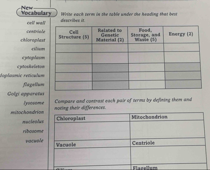 New
Vocabulary Write each term in the table under the heading that best
cell wal describes it.
centriol
chloroplas
cilium
cytoplasm
cytoskeleton
doplasmic reticulum
flagellum
Golgi apparatus
lysosome Compare and contrast each pair of terms by defining them and
mitochondrionoting their differences.
nucleolu
ribosome
vacuol
Flagellum