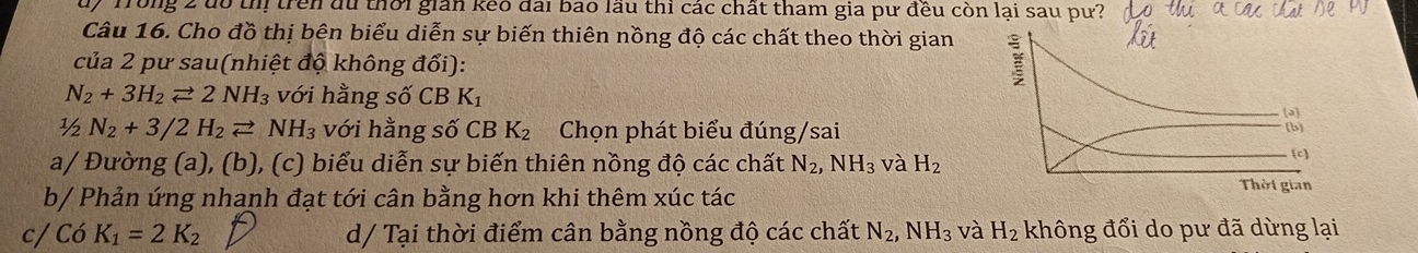 Trong 2 đô thị trên du thời gián keo đài bao lầu thỉ các chất tham gia pư đều còn lại sau pư?
Câu 16. Cho đồ thị bên biểu diễn sự biến thiên nồng độ các chất theo thời gian
của 2 pư sau(nhiệt độ không đổi):
N_2+3H_2leftharpoons 2NH_3 với hằng số CB K_1
(2)
½ N_2+3/2H_2leftharpoons NH_3 với hằng số CB K_2 Chọn phát biểu đúng/sai
[b]
a/ Đường (a), (b), (c) biểu diễn sự biến thiên nồng độ các chất N_2, NH_3 và H_2 (c)
b/ Phản ứng nhanh đạt tới cân bằng hơn khi thêm xúc tác
Thời gian
c/ Có K_1=2K_2 d/ Tại thời điểm cân bằng nồng độ các chất N_2, NH_3 và H_2 không đổi do pư đã dừng lại