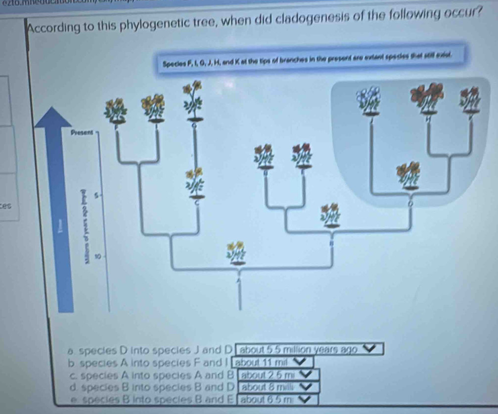 According to this phylogenetic tree, when did cladogenesis of the following occur?
n the present are extant species that still exiot.
es
a species D into species J and D about 5.5 million years ago
b species A into species F and I about 11 mil
c. species A into species A and B about 2 5 mi
d. species B into species B and D about 8 milli
e species B into species B and E about 6.5 m