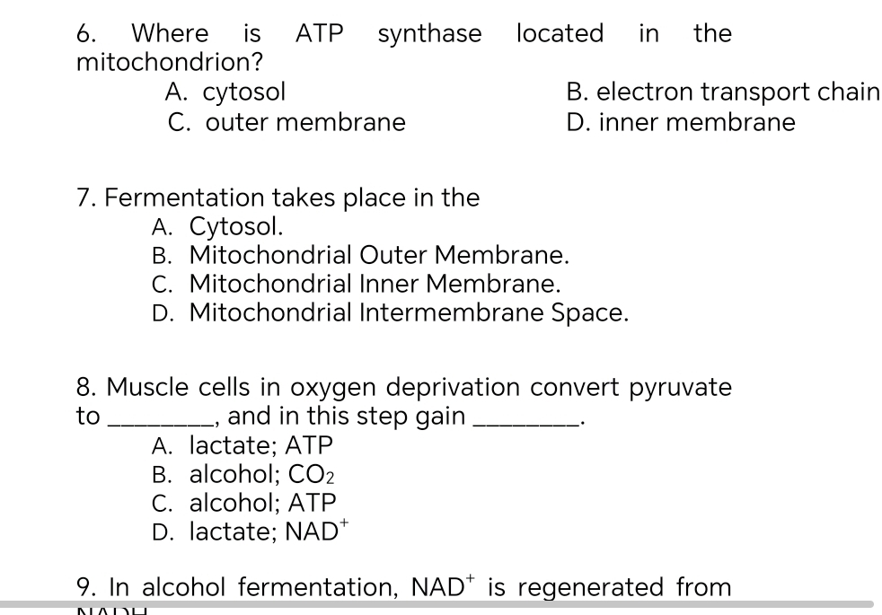 Where is ATP synthase located in the
mitochondrion?
A. cytosol B. electron transport chain
C. outer membrane D. inner membrane
7. Fermentation takes place in the
A. Cytosol.
B. Mitochondrial Outer Membrane.
C. Mitochondrial Inner Membrane.
D. Mitochondrial Intermembrane Space.
8. Muscle cells in oxygen deprivation convert pyruvate
to_ , and in this step gain_
.
A. lactate; ATP
B. alcohol; CO_2
C. alcohol; ATP
D. lactate; NAD*
9. In alcohol fermentation, NAD* is regenerated from