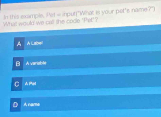 In this example, Pet = input("What is your pet's name?")
What would we call the code 'Pet'?
A A Label
B A variable
C A Pet
D A name