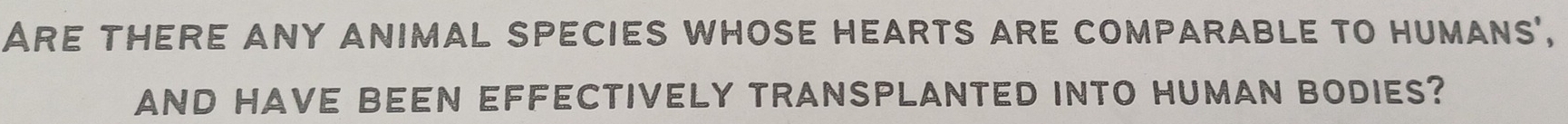 Are there any animal species whose hearts are comparable to humans', 
aND HAVe Been EFFecTIveLy tRanSplanted into HuMan bodies?