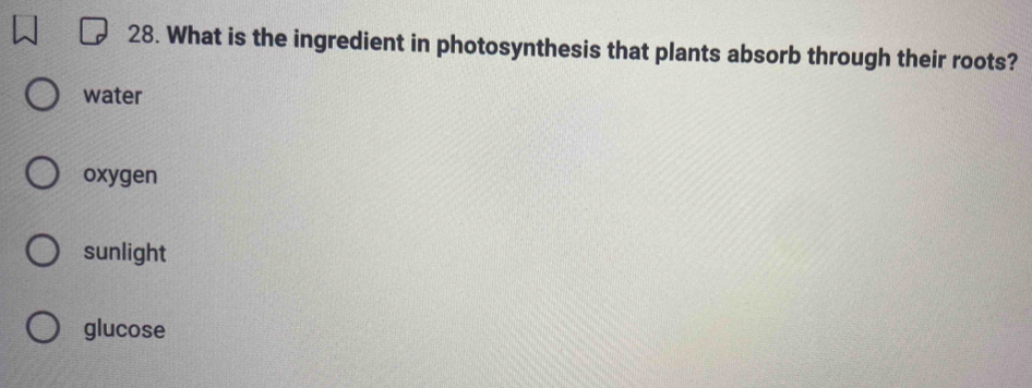 What is the ingredient in photosynthesis that plants absorb through their roots?
water
oxygen
sunlight
glucose