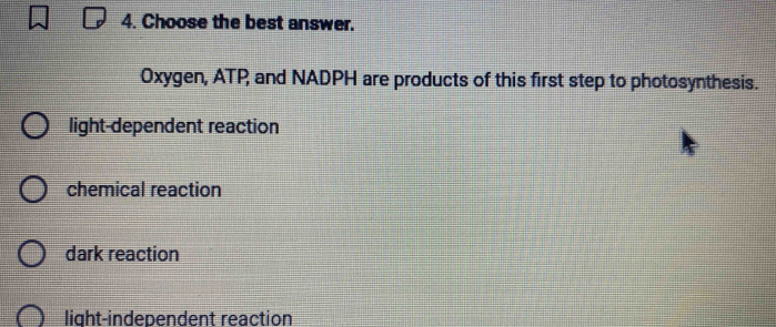 Choose the best answer.
Oxygen, ATP, and NADPH are products of this first step to photosynthesis.
light-dependent reaction
chemical reaction
dark reaction
light-independent reaction