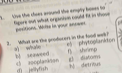 Use the clues around the empty boxes to
figure out what organism could fit in those 
positions. Write in your answer.
2. What are the producers in the food web?
a) whale e) phytoplankton
b) seaweed f) shrimp
c) zooplankton g) diatoms
d) jellyfish h) detritus