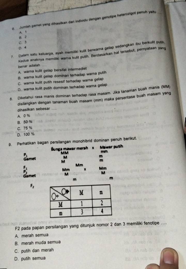 Jumlah gamet yang dihasilkan dari individu dengan genotipe heterozigot penuh yaitu
A. 1
B. 2
C. 3
D. 4
7. Dalam satu keluarga, ayah memiliki kulit berwarna gelap sedangkan ibu berkulit putih.
Kedua anaknya memiliki wama kulit putih. Berdasarkan hal tersebut, pernyataan yang
benar adalah
A. warna kulit gelap bersifat intermediet
B. warna kulit gelap dominan terhadap warna putih
C. warna kulit putih resesif terhadap warna gelap
D. warna kulit putih dominan terhadap warna gelap
8. Diketahui rasa manis dominan terhadap rasa masam. Jika tanaman buah manis (MM)
disilangkan dengan tanaman buah masam (mm) maka persentase buah masam yang
dihasilkan sebesar ....
A. 0 %
B. 50 %
C. 75 %
D. 100 %
9. Perhatikan bagan persilangan monohibrid dominan penuh berikut.
Bunga mawar merah x Mawar putih
P_1
MM
mm
Gamet M
m
M
m
_P_2^F_1
Mm
Mm x Mm
Gamet M M
m
m
F_2
F2 pada papan persilangan yang ditunjuk nomor 2 dan 3 memiliki fenotipe ....
A. merah semua
B. merah muda semua
C. putih dan merah
D. putih semua