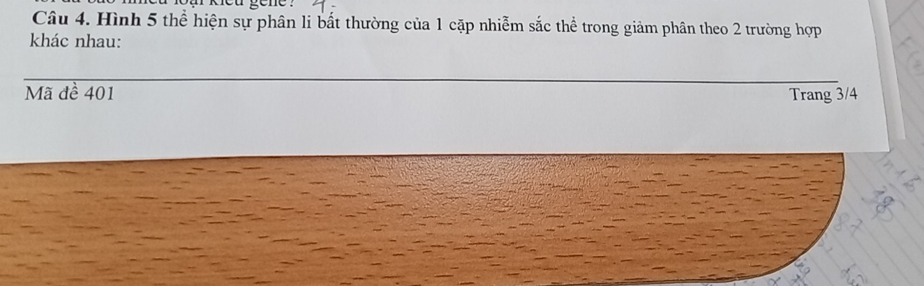 a keu gene . 
Câu 4. Hình 5 thể hiện sự phân li bất thường của 1 cặp nhiễm sắc thể trong giảm phân theo 2 trường hợp 
khác nhau: 
Mã đề 401 Trang 3/4