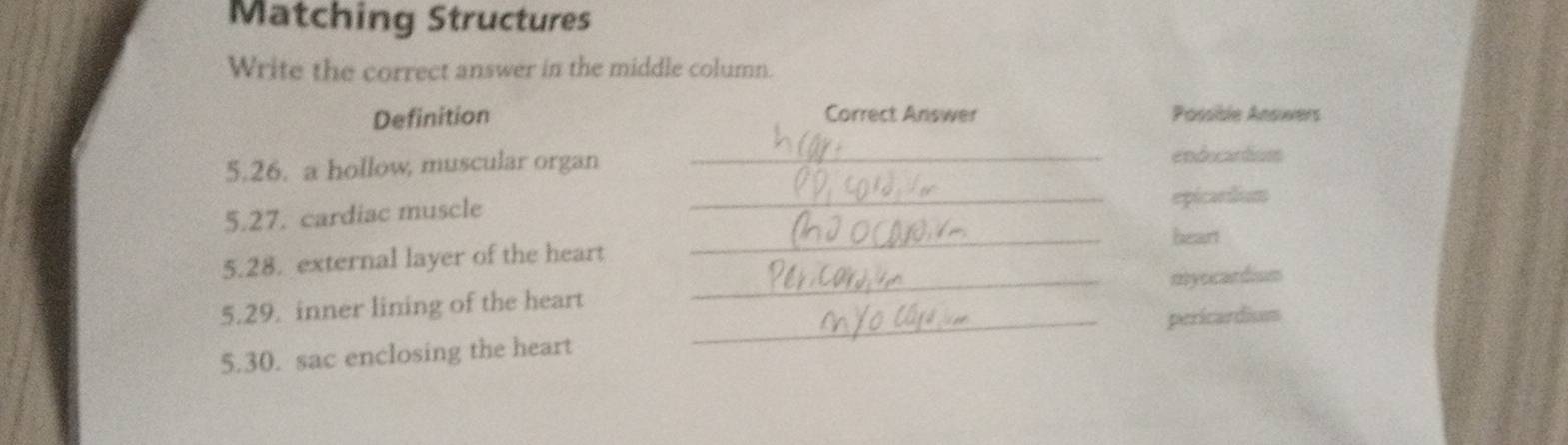 Matching Structures 
Write the correct answer in the middle column. 
Definition Correct Answer Possible Answers 
5.26. a hollow, muscular organ _endocartiun 
_ 
5.27. cardiac muscle _epicartium 
heart 
5.28. external layer of the heart 
5.29. inner lining of the heart _myocardium 
5.30. sac enclosing the heart _pericardium