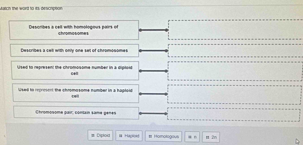 Match the word to its description
Describes a cell with homologous pairs of
chromosomes
Describes a cell with only one set of chromosomes
Used to represent the chromosome number in a diploid
cell
Used to represent the chromosome number in a haploid
cell
Chromosome pair; contain same genes
== Diploid : Haploid :: Homologous :: n : 2n