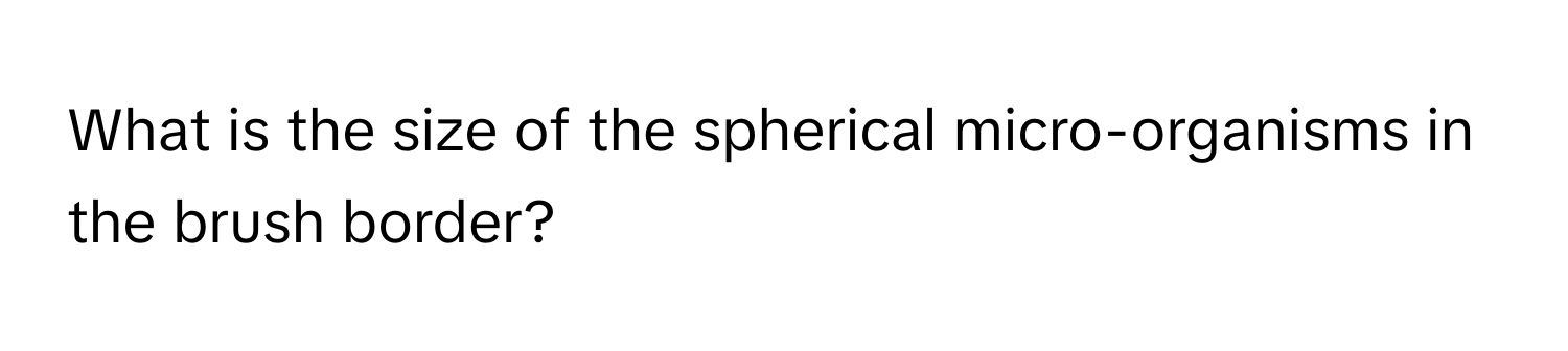 What is the size of the spherical micro-organisms in the brush border?