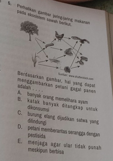 Perhatikan gambar jaring-
pada ekosiste
ane shüderstück com
arkan gambar, hal yang dapat
menggambarkan petani gagal panen 
adalah . . . .
A. banyak orang memelihara ayam
B. katak banyak ditangkap untuk
dikonsumsi
C. burung elang dijadikan satwa yang
dilindungj
D. petani memberantas serangga dengan
pestisida
E. menjaga agar ular tidak punah
meskípun berbísa