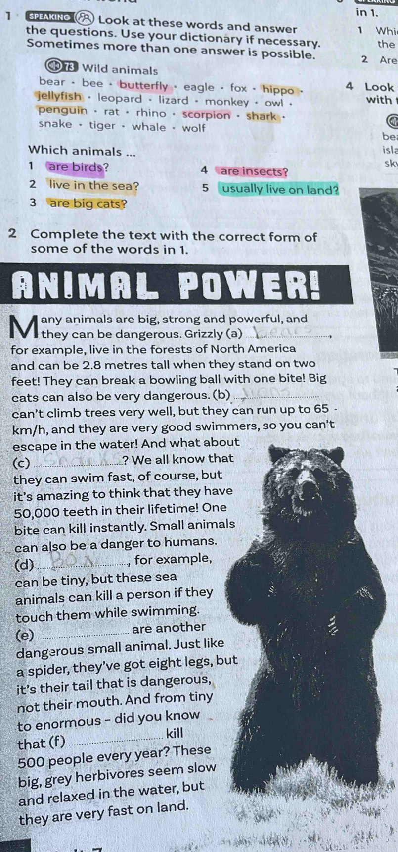 in 1. 
1 SAKNo ) Look at these words and answer 1 Whi 
the questions. Use your dictionary if necessary. the 
Sometimes more than one answer is possible. 2 Are
73 Wild animals 
bear - bee - butterfly · eagle - fox - hippo · 4 Look 
jellyfish - leopard - lizard - monkey - owl . 
with 
penguin · rat · rhino · scorpion - shark · 
snake - tiger - whale · wolf 
a 
be 
Which animals ... 
isla 
sk 
1 are birds? 4 are insects? 
2 live in the sea? 5 usually live on land? 
3 are big cats? 
2 Complete the text with the correct form of 
some of the words in 1. 
ANIMAL POWER! 
any animals are big, strong and powerful, and 
M they can be dangerous. Grizzly (a)_ 
for example, live in the forests of North America 
and can be 2.8 metres tall when they stand on two
feet! They can break a bowling ball with one bite! Big 
cats can also be very dangerous. (b)_ 
can't climb trees very well, but they can run up to 65 -
km/h, and they are very good swimmers, so you can’t 
escape in the water! And what about 
(c) _? We all know that 
they can swim fast, of course, but 
it’s amazing to think that they have
50,000 teeth in their lifetime! One 
bite can kill instantly. Small animals 
can also be a danger to humans. 
(d)_ , for example, 
can be tiny, but these sea 
animals can kill a person if they 
touch them while swimming. 
(e) _are another 
dangerous small animal. Just like 
a spider, they’ve got eight legs, but 
it’s their tail that is dangerous, 
not their mouth. And from tiny 
to enormous - did you know 
that (f) _kill
500 people every year? These 
big, grey herbivores seem slow 
and relaxed in the water, but 
they are very fast on land.