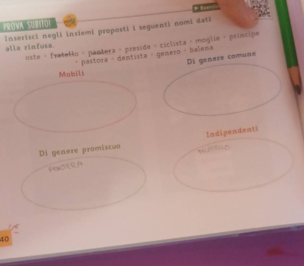 Eserci 
PROVA SUBITOI 
Inserisci negli insiemi proposti i seguenti nomi dati 
oste « fratello « pantera » preside » ciclista » moglie » principe 
alla rinfusa. 
pastora dentista » genero balena 
Di genere comune 
Mobili 
Indipendenti 
Di genere promiscuo
40