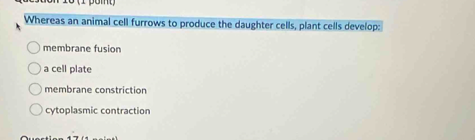 16 (1 poit)
Whereas an animal cell furrows to produce the daughter cells, plant cells develop:
membrane fusion
a cell plate
membrane constriction
cytoplasmic contraction