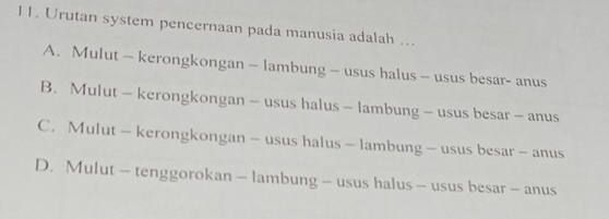 Urutan system pencernaan pada manusia adalah ...
A. Mulut — kerongkongan — lambung - usus halus - usus besar- anus
B. Mulut - kerongkongan - usus halus - lambung - usus besar - anus
C. Mulut - kerongkongan - usus halus - lambung - usus besar - anus
D. Mulut - tenggorokan - lambung - usus halus - usus besar - anus