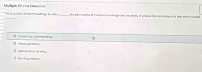 Muitiple Choice Question
The ecquisition of new knowledge is called_ the persistence of that new knowledge and the ability to access the knowladge at a later time is called
memorizing; understanding
memory leaming
consolidation; recalling
Searing, mersory