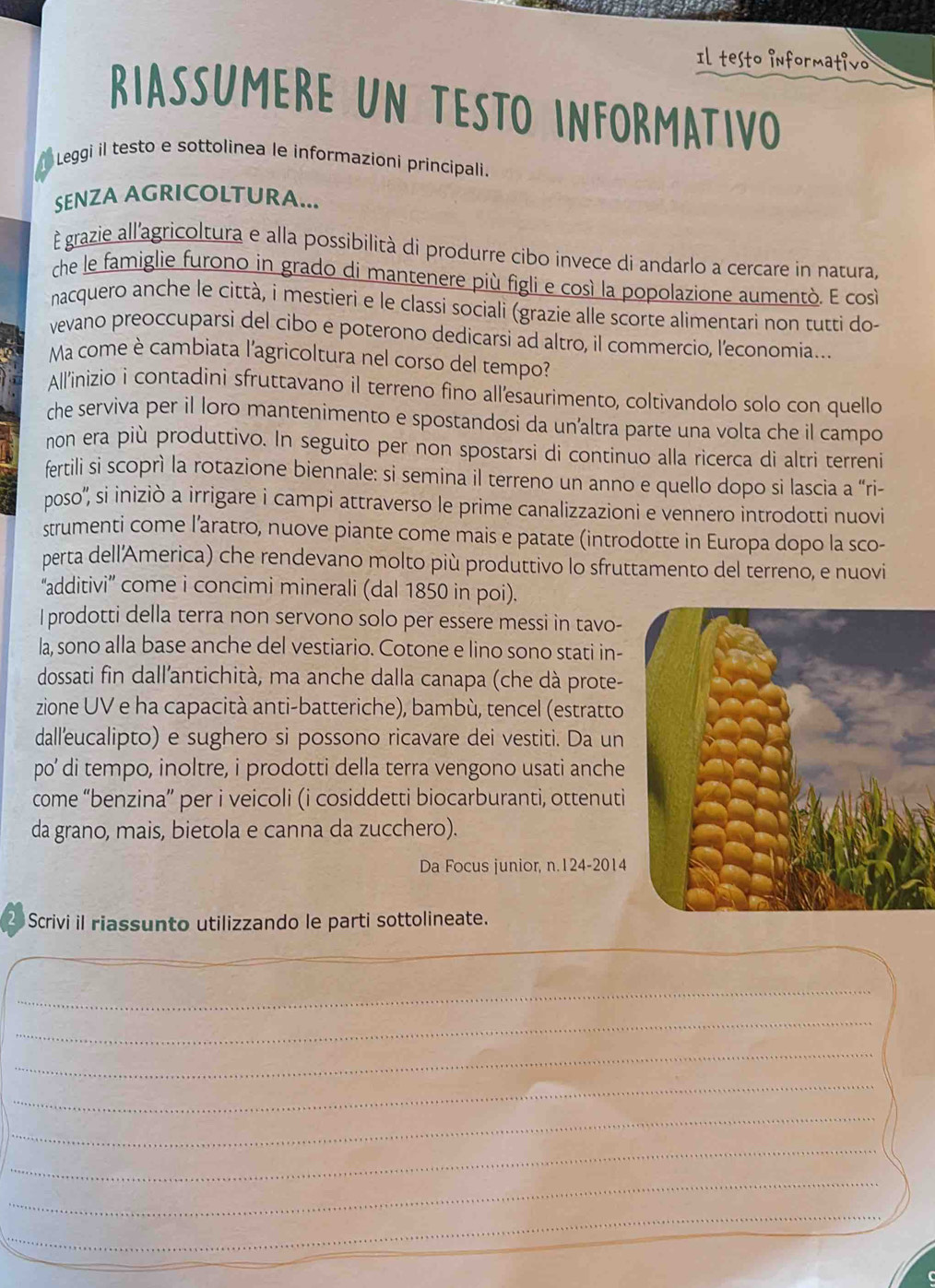 Il testo informativo
Riassumere un testo informativo
Leggi il testo e sottolinea le informazioni principali.
SENZA AGRICOLTURA...
É grazie all'agricoltura e alla possibilità di produrre cibo invece di andarlo a cercare in natura,
che le famiglie furono in grado di mantenere più figli e così la popolazione aumentò. E così
nacquero anche le città, i mestieri e le classi sociali (grazie alle scorte alimentari non tutti do-
vevano preoccuparsi del cibo e poterono dedicarsi ad altro, il commercio, l’economia...
Ma come è cambiata l'agricoltura nel corso del tempo?
All'inizio i contadini sfruttavano il terreno fino all’esaurimento, coltivandolo solo con quello
che serviva per il loro mantenimento e spostandosi da un’altra parte una volta che il campo
non era più produttivo. In seguito per non spostarsi di continuo alla ricerca di altri terreni
fertili si scoprì la rotazione biennale: si semina il terreno un anno e quello dopo si lascia a “ri-
poso'', si iniziò a irrigare i campi attraverso le prime canalizzazioni e vennero introdotti nuovi
strumenti come l’aratro, nuove piante come mais e patate (introdotte in Europa dopo la sco-
perta dell'America) che rendevano molto più produttivo lo sfruttamento del terreno, e nuovi
“additivi” come i concimi minerali (dal 1850 in poi).
I prodotti della terra non servono solo per essere messi in tavo-
la, sono alla base anche del vestiario. Cotone e lino sono stati in-
dossati fin dall'antichità, ma anche dalla canapa (che dà prote-
zione UV e ha capacità anti-batteriche), bambù, tencel (estratto
dall'eucalipto) e sughero si possono ricavare dei vestiti. Da un
po’ di tempo, inoltre, i prodotti della terra vengono usati anche
come “benzina” per i veicoli (i cosiddetti biocarburanti, ottenuti
da grano, mais, bietola e canna da zucchero).
Da Focus junior, n.124-2014
Scrivi il riassunto utilizzando le parti sottolineate.
_
_
_
_
_
_
_
_
_
_