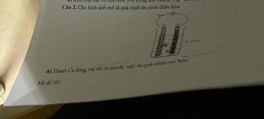 Cho hình ảnh mô tả quá trình ăn mòn điện hóa: 
_ 
a) Thanh Cu đóng vai trò là anode, xây ra quá trình oxỉ hó 
Mã để 101