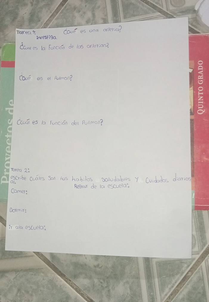 Tarea7: cove es ona arleria? 
investiga 
Ccoales la Funcion de las arlerias? 
lavE es ei Pulmon? 
(cuāi es la Funcion dei Pulmon? 
Tarea 2: 
escribe cubles son las habilas saludables Y Cuidodbs diarios 
al 
Regrar de la escuela. 
comer: 
Dormirg 
ir ala escueler.