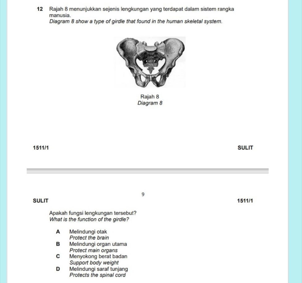 Rajah 8 menunjukkan sejenis lengkungan yang terdapat dalam sistem rangka
manusia.
Diagram 8 show a type of girdle that found in the human skeletal system.
Rajah 8
Diagram 8
1511/1 SULIT
9
SULIT 1511/1
Apakah fungsi lengkungan tersebut?
What is the function of the girdle?
A Melindungi otak
Protect the brain
B Melindungi organ utama
Protect main organs
C Menyokong berat badan
Support body weight
D Melindungi saraf tunjang
Protects the spinal cord