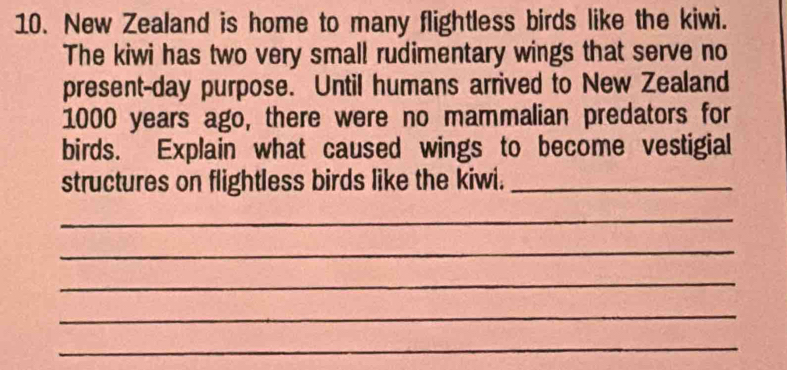 New Zealand is home to many flightless birds like the kiwi. 
The kiwi has two very small rudimentary wings that serve no 
present-day purpose. Until humans arrived to New Zealand
1000 years ago, there were no mammalian predators for 
birds. Explain what caused wings to become vestigial 
structures on flightless birds like the kiwi._ 
_ 
_ 
_ 
_ 
_