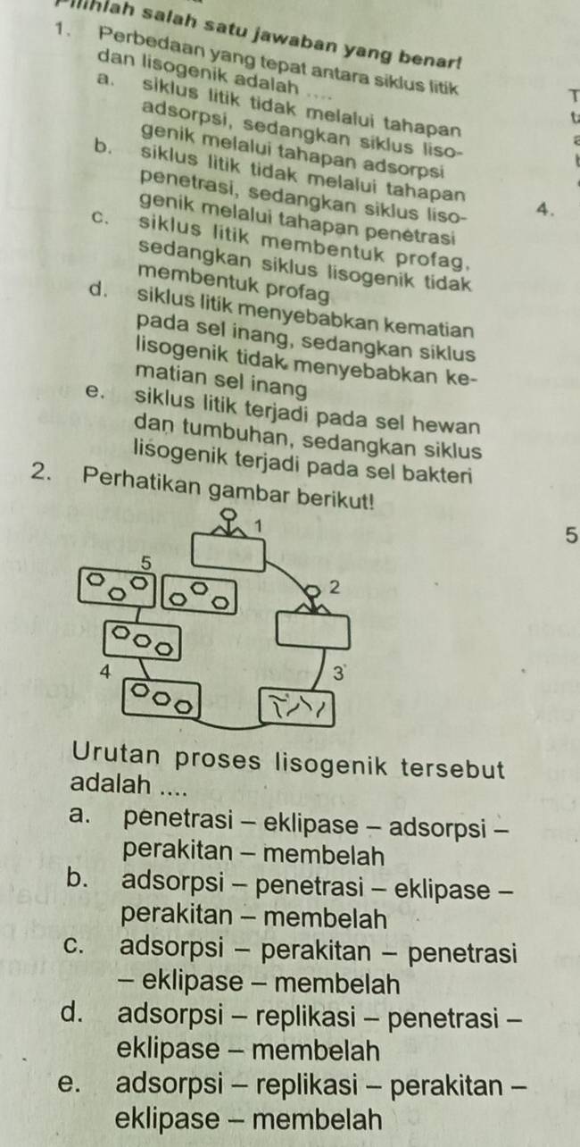 hiah salah satu jawaban yang benar!
1. Perbedaan yang tepat antara siklus litik
dan lisogenik adalah , , .
T
a. siklus litik tidak melalui tahapan
t
adsorpsi, sedangkan siklus liso-

genik melalui tahapan adsorpsi
b. siklus litik tidak melalui tahapan 4.
penetrasi, sedangkan siklus liso-
genik melalui tahapan penėtrasi
c. siklus litik membentuk profag.
sedangkan siklus lisogenik tidak
membentuk profag
d. siklus litik menyebabkan kematian
pada sel inang, sedangkan siklus
lisogenik tidak menyebabkan ke-
matian sel inang
e. siklus litik terjadi pada sel hewan
dan tumbuhan, sedangkan siklus
liśogenik terjadi pada sel bakteri
2. Perhatikan gambar ber
5
Urutan proses lisogenik tersebut
adalah ....
a. penetrasi - eklipase - adsorpsi -
perakitan - membelah
b. adsorpsi - penetrasi - eklipase -
perakitan - membelah
c. adsorpsi - perakitan - penetrasi
- eklipase - membelah
d. adsorpsi - replikasi - penetrasi -
eklipase - membelah
e. adsorpsi - replikasi - perakitan -
eklipase - membelah