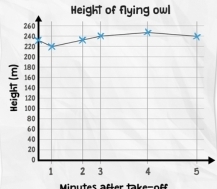 Height of flying owl