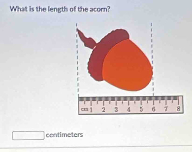 What is the length of the acorn?
centimeters