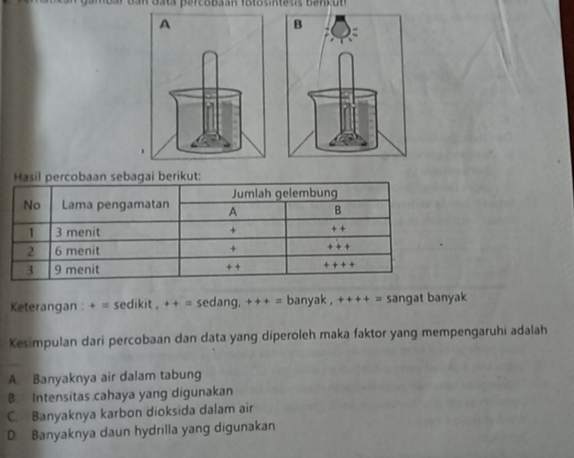 ar can dats percobaan 18tosintass Bançon 
Keterangan : + = sedikit , ++= sedang, +++= banyak , ++++= sangat banyak
Kesimpulan dari percobaan dan data yang diperoleh maka faktor yang mempengaruhi adalah
A. Banyaknya air dalam tabung
B. Intensitas .cahaya yang digunakan
C. Banyaknya karbon dioksida dalam air
D. Banyaknya daun hydrilla yang digunakan