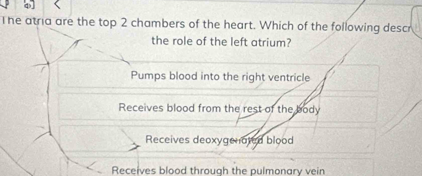 The atria are the top 2 chambers of the heart. Which of the following descr
the role of the left atrium?
Pumps blood into the right ventricle
Receives blood from the rest of the body
Receives deoxygenated blood
Receives blood through the pulmonary vein