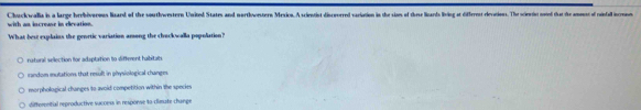 Chuckwalla is a large hrrhiverous lisard of the southwestern United States and northwestern Mexion. Ascientis disceered vaciaion in the sloes of these licads living at dieent devations. The sciersint moird that the amons of roinfall increnn
with an increase in elevation.
What best explains the genrtic variation among the chuckwalla popolation?
natural selection for adaptation to different habitabe
random mutations that result in physiological changes
morphological changes to avoid competition within the species
differential reproductive success in resporse to-climate change