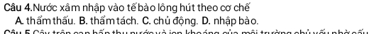 Câu 4.Nước xâm nhập vào tế bào lông hút theo cơ chế
A. thẩm thấu. B. thẩm tách. C. chủ động. D. nhập bào.