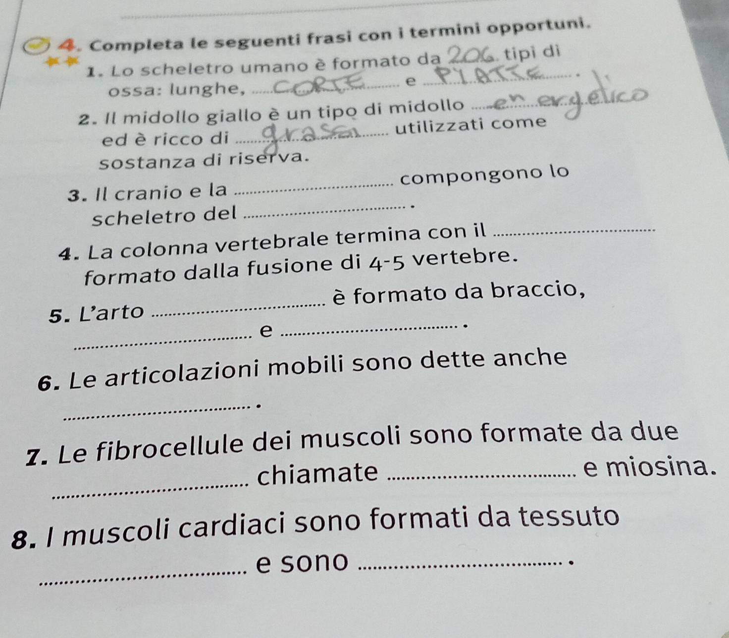 Completa le seguenti frasi con i termini opportuni. 
1. Lo scheletro umano è formato da _. tipi di 
ossa: lunghe, 
_e 
_ 
2. Il midollo giallo è un tipo di midollo_ 
ed è ricco di _utilizzati come 
sostanza di riserva. 
3. Il cranio e la _compongono lo 
scheletro del 
_ 
4. La colonna vertebrale termina con il_ 
formato dalla fusione di 4-5 vertebre. 
_ 
è formato da braccio, 
5. Larto 
_e 
_ 
6. Le articolazioni mobili sono dette anche 
_ 
z. Le fibrocellule dei muscoli sono formate da due 
_ 
chiamate _e miosina. 
8. I muscoli cardiaci sono formati da tessuto 
_e sono_ 
.