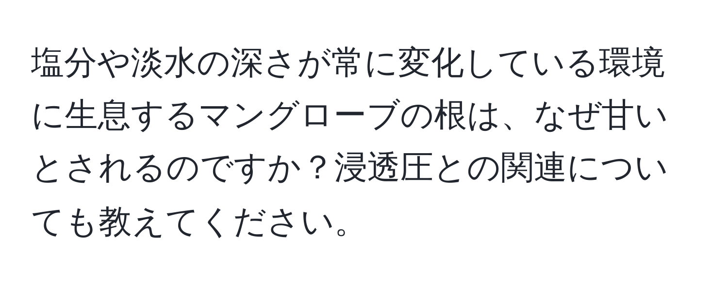 塩分や淡水の深さが常に変化している環境に生息するマングローブの根は、なぜ甘いとされるのですか？浸透圧との関連についても教えてください。