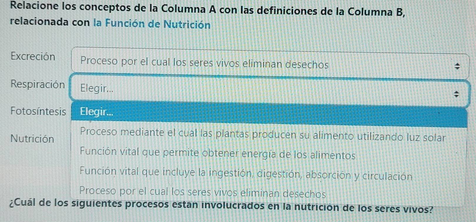 Relacione los conceptos de la Columna A con las definiciones de la Columna B,
relacionada con la Función de Nutrición
Excreción Proceso por el cual los seres vivos eliminan desechos
Respiración Elegir...
Fotosíntesis Elegir...
Nutrición
Proceso mediante el cual las plantas producen su alimento utilizando luz solar
Función vital que permite obtener energía de los alimentos
Función vital que incluye la ingestión, digestión, absorción y circulación
Proceso por el cual los seres vivos eliminan desechos
¿Cuál de los siguientes procesos están involucrados en la nutrición de los seres vivos?