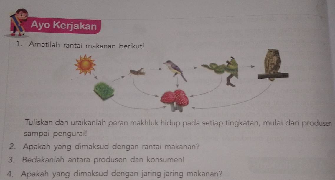 Ayo Kerjakan 
1. Amatilah rantai makanan berikut! 
Tuliskan dan uraikanlah peran makhluk hidup pada setiap tingkatan, mulai dari produse 
sampai pengurai! 
2. Apakah yang dimaksud dengan rantai makanan? 
3. Bedakanlah antara produsen dan konsumen! 
4. Apakah yang dimaksud dengan jaring-jaring makanan?