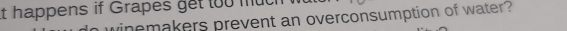 it happens if Grapes get too muc 
inemakers prevent an overconsumption of water?