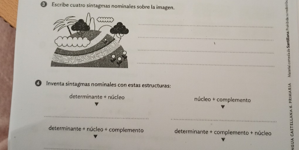 ❸ Escribe cuatro sintagmas nominales sobre la imagen. 
 
_ 
_ 
_ 
_ 
: 
④ Inventa sintagmas nominales con estas estructuras: 
determinante + núcleo núcleo + complemento 
_ 
_ 
_ 
determinante + núcleo + complemento determinante + complemento + núcleo