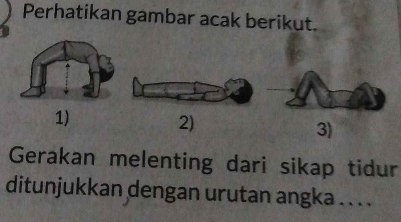 Perhatikan gambar acak berikut. 
1) 
2) 
3) 
Gerakan melenting dari sikap tidur 
ditunjukkan dengan urutan angka . . . .