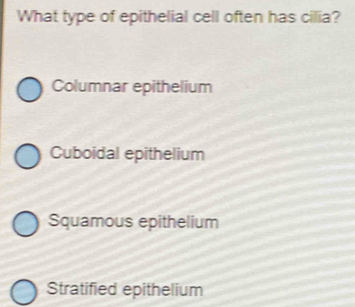 What type of epithelial cell often has cilia?
Columnar epithelium
Cuboidal epithelium
Squamous epithelium
Stratified epithelium