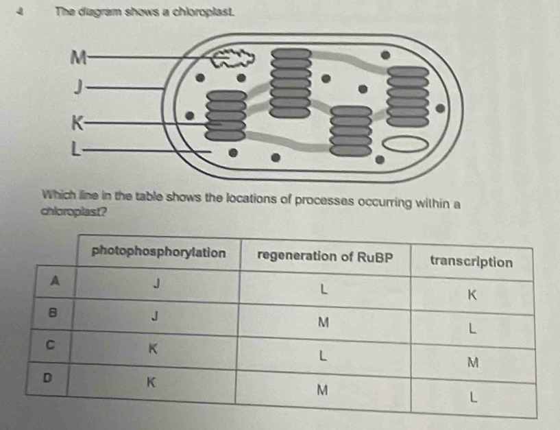 The diagram shows a chioroplast. 
Which line in the table shows the locations of processes occurring within a 
chloroplast?