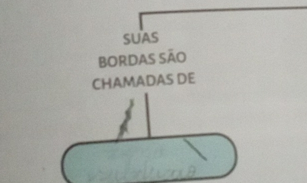 SUAS 
Bordas são 
CHAMADAS DE