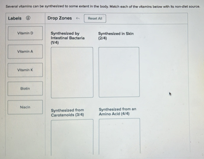 Several vitamins can be synthesized to some extent in the body. Match each of the vitamins below with its non-diet source. 
Labels ① Drop Zones Reset All 
Vitamin D Synthesized by Synthesized in Skin 
Intestinal Bacteria (2/4)
(1/4)
Vitamin A 
Vitamin K 
Biotin 
Niacin 
Synthesized from Synthesized from an 
Carotenoids (3/4) Amino Acid (4/4)