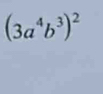 (3a^4b^3)^2