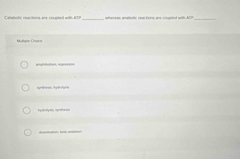 Catabolic reactions are coupled with ATP _whereas anabolic reactions are coupled with ATP _
Multiple Choice
amphibolism, repression
synthvesis; hydrolysis
hydrolysis, synthesis
deamination, beta oxidation