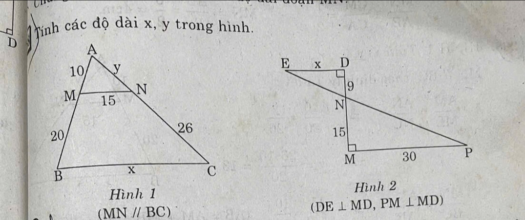 Tính các độ dài x, y trong hình.
D
Hình 1 Hình 2
(MN//BC)
(DE⊥ MD,PM⊥ MD)