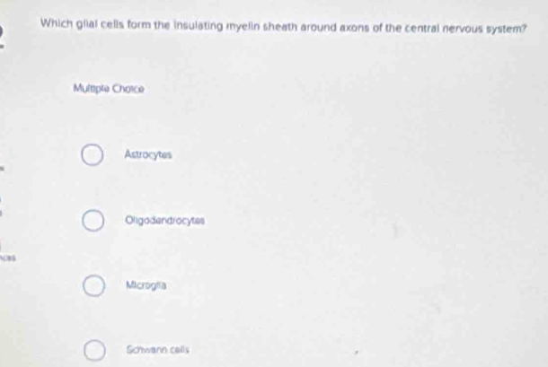 Which giial cells form the insulating myelin sheath around axons of the central nervous system?
Multiple Choice
Astrocytes
Oligodendrocytes
CBs
Microgfa
Schwann cells