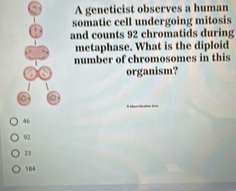 A geneticist observes a human
somatic cell undergoing mitosis
and counts 92 chromatids during
metaphase. What is the diploid
number of chromosomes in this
organism?
* Abacn Educstan Zana
46
92
23
184