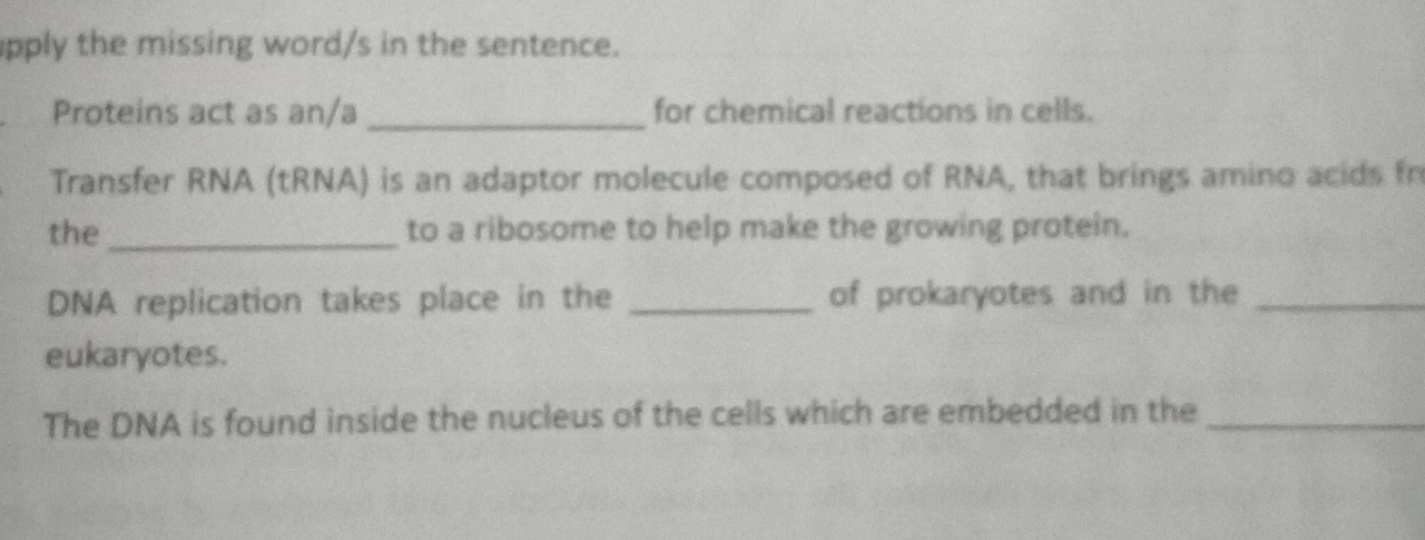 pply the missing word/s in the sentence. 
Proteins act as an/a _for chemical reactions in cells. 
Transfer RNA (tRNA) is an adaptor molecule composed of RNA, that brings amino acids fr 
the _to a ribosome to help make the growing protein. 
DNA replication takes place in the _of prokaryotes and in the_ 
eukaryotes. 
The DNA is found inside the nucleus of the cells which are embedded in the_